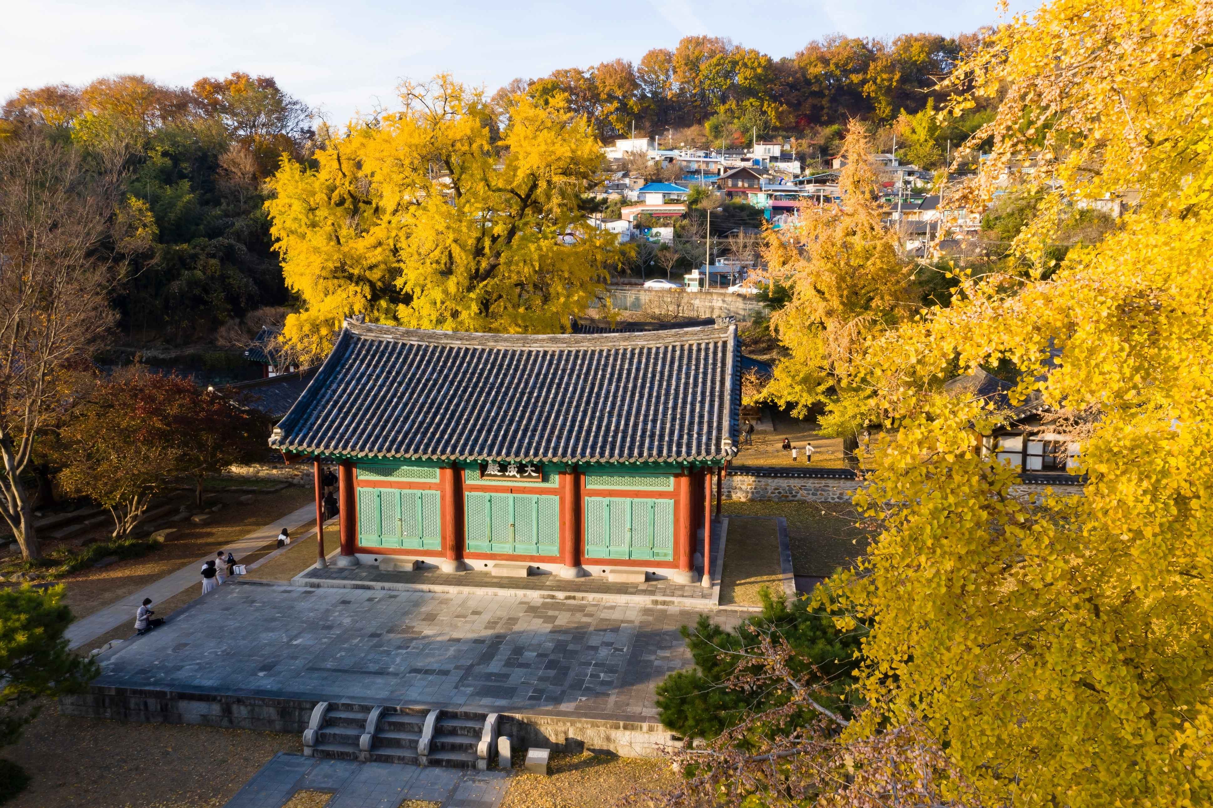 Jeonju gallery 15
